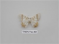 藏品(尺蛾336)的圖片